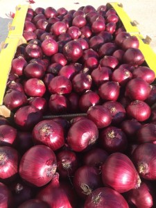 Fresh Red Onion Turkije 50mm grutte farske reade Turkske sipels