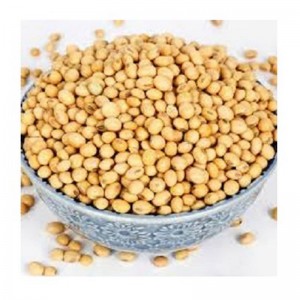Sprzedaż nasion soi wysokobiałkowej / Soja organiczna 500MT Rolnictwo Organiczne ziarna soi