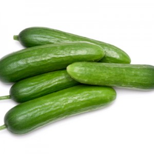 Fresh Cucumber/ Fresh plantaardige komkommer