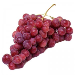 Fruits de raisin verts délicieux à vendre en gros