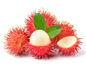 Certification VIETGAP biologique sucrée 6-8 pièces par kg de fruits frais de ramboutan du Vietnam