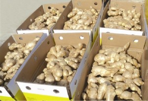 Hege kwaliteit droege farske gembermerkpriis per kg gruthannel Ginger keapers foar eksport yn Yndia Ginger