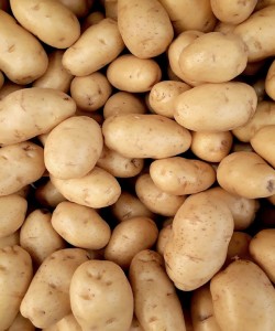 Augstākās kvalitātes Bangladešas organiskie svaigie kartupeļi par vairumtirdzniecības cenu
