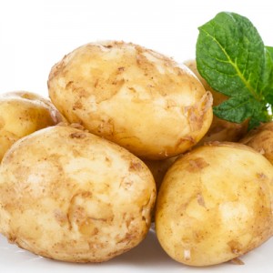 2021 Nye dyrkede bedste kvalitet friske gule skind kartofler