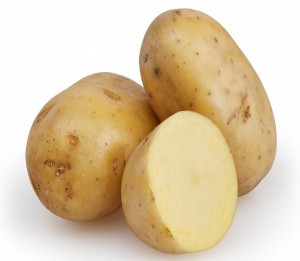 Høj kvalitet 100% økologiske friske kartofler fra Bangladesh