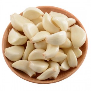 Garlic Watsopano
