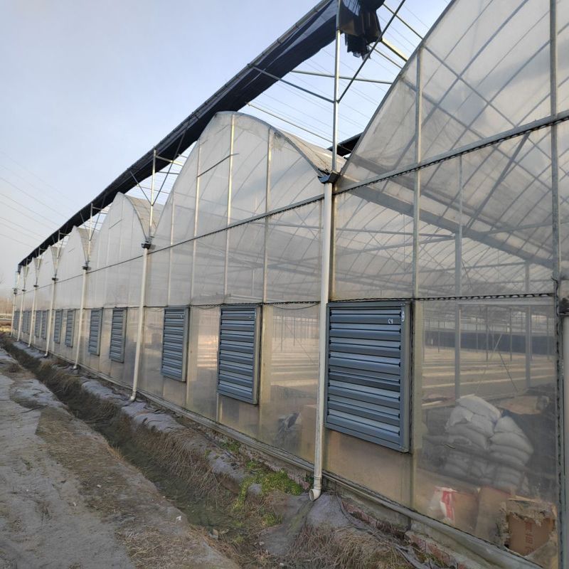 Multi-span agricultural greenhouse structure greenhouse