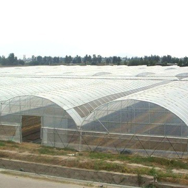 Cost Single-span Agricultural Greenhouses Featured Image