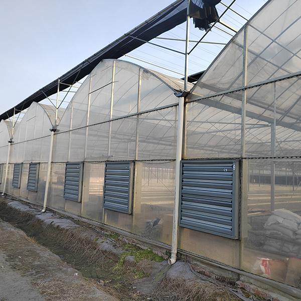 New agricultural grean house greenhouse mutli span modular greenhouse farm for planting vegetables