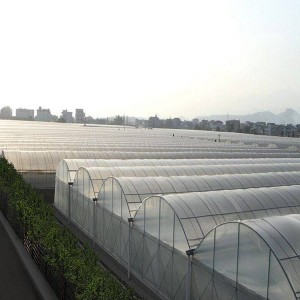 Octagonal Greenhouse Manufacturer –  large galvanized steel frame truss agricultural greenhouse  – Ningdi