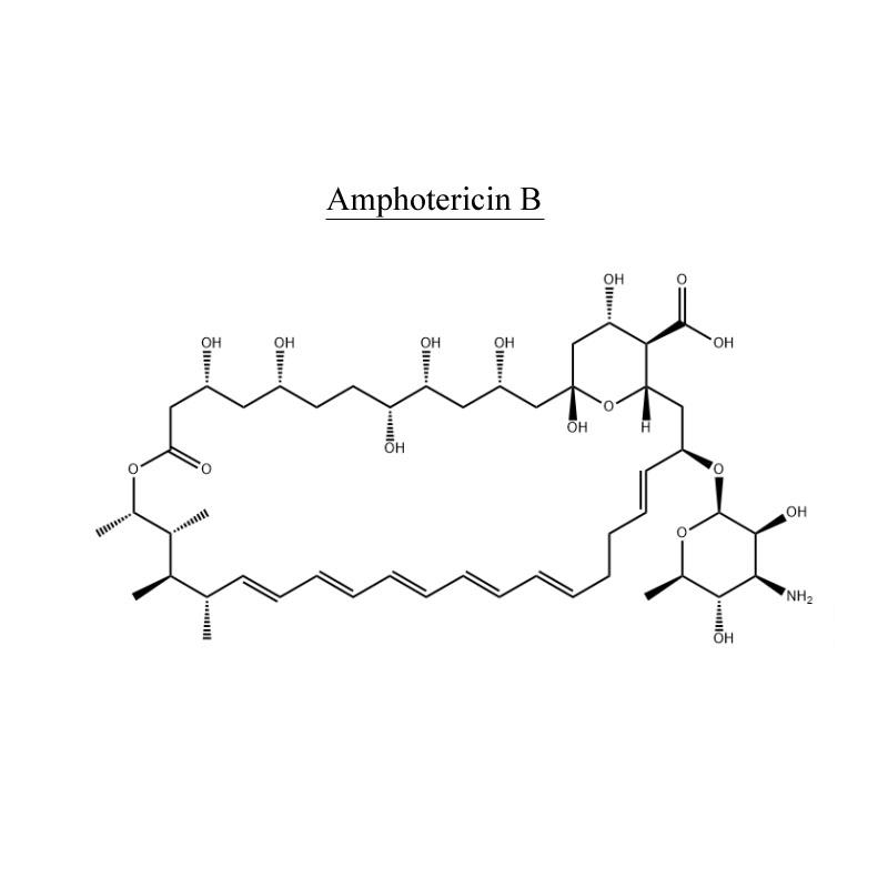 Amphotericin B 1397-89-3 Antibiotikoa
