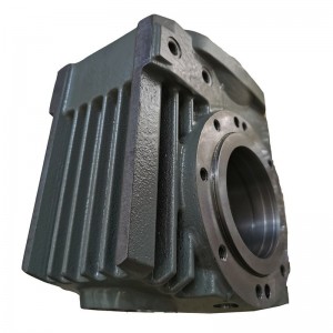 Gearbox body    Grey iron 250, GG25, EN-GJL-250 (EN-JL1040), FC250
