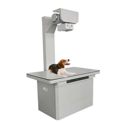 veterinarinis rentgeno aparatas