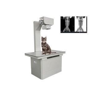 Máquina de raios X de alta frecuencia para animais pequenos