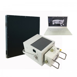 Máquina de rayos X portátil de venta directa de fábrica con detector de panel plano