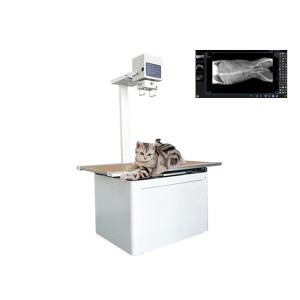 Máquina de raios X de diagnóstico veterinario