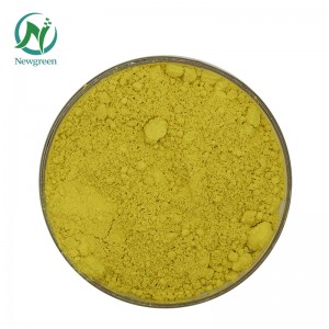 ធម្មជាតិ Sophora Japonica Extract 98% Quercetin ម្សៅ Newgreen ផលិត Quercetin