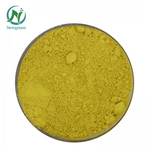 Təbii Sophora Japonica Ekstraktı 98% Quercetin tozu Newgreen Manuafactur Quercetin