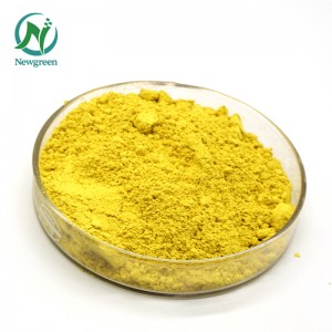 Extracte natural de Sophora Japonica 98% quercetina en pols Newgreen Manuafacture Quercetina