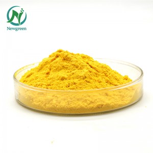 Polvo de extracto de Cotinus Coggygria 98% Fabricante de fisetina Newgreen Supply Fisetina en polvo