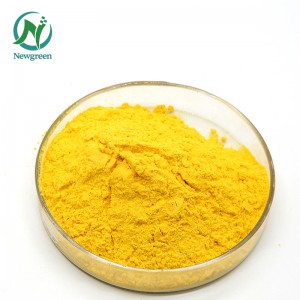 Cotinus Coggygria Extract Powder 98% Fisetin Produsen Newgreen Pasokan Fisetin Powder