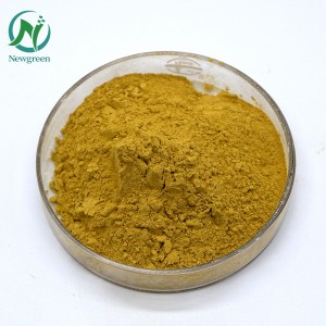 Fornecimento de fábrica Newgreen Extrato de folha de oliveira oleuropeína CAS 32619-42-4