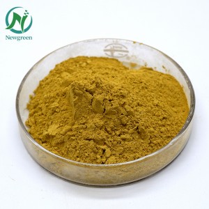 Newgreen Factory Supply Extracto de hoja de olivo oleuropeína CAS 32619-42-4