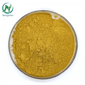 Newgreen Factory Supply Extracto de hoja de olivo oleuropeína CAS 32619-42-4