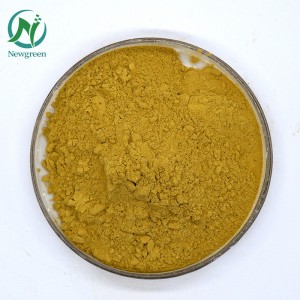 I-Newgreen Factory Supply Olive leaf ikhiphe i-oleuropein CAS 32619-42-4
