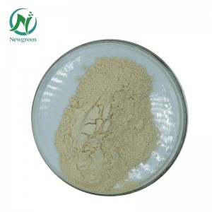Newgreen Supply Pure Panax notoginseng pulver Sanqi Raw Powder 99% Super Panax notoginseng rotpulver