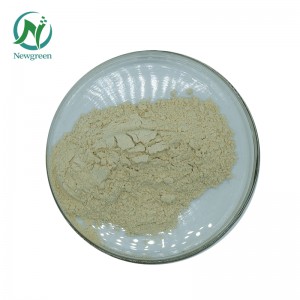 Newgreen Supply Ntshiab Panax notoginseng hmoov Sanqi Raw Powder 99% Super Panax notoginseng hauv paus hmoov