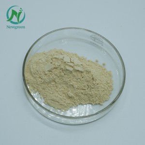 Newgreen Supply Pure Panax notoginseng poeier Sanqi Rou Powder 99% Super Panax notoginseng Wortelpoeier