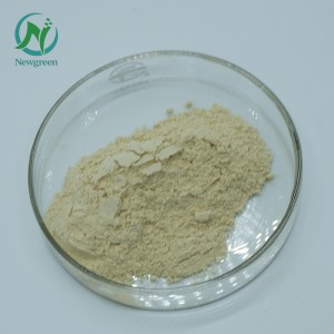 Newgreen Supply Чистий порошок Panax notoginseng Сирий порошок Sanqi 99% Super Panax notoginseng Root powder