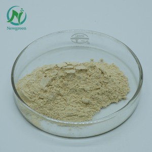 Newgreen Supply Pure Panax notoginseng-jauhe Sanqi Raw Powder 99% Super Panax notoginseng-juurijauhe