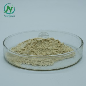 Newgreen Supply Pure Panax notoginseng v prahu Sanqi Raw Powder 99 % Super Panax notoginseng korenina v prahu