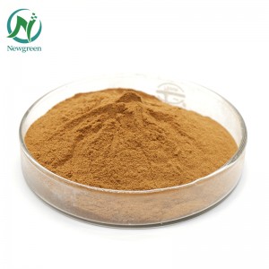 Newgreen Supply Pure Polygonum multiflorum polvere grezza 99% erba cinese He shou wu polvere per la caduta dei capelli