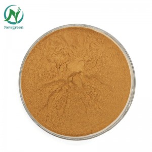 Newgreen Supply Pure Polygonum multiflorum råpulver 99% kinesisk urt He shou wu pulver til hårtab