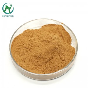 Newgreen Supply Pure Polygonum multiflorum ጥሬ ዱቄት 99% የቻይንኛ እፅዋት He shou wu ዱቄት ለፀጉር መርገፍ