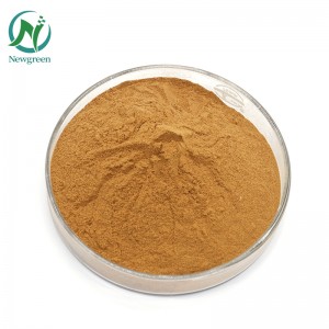 Newgreen Supply Pure Polygonum multiflorum hilaw nga powder 99% Chinese Herb He shou wu powder alang sa pagkawala sa buhok