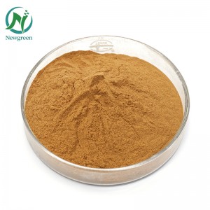 Newgreen Supply Pure Polygonum multiflorum rou poeier 99% Chinese Herb He shou wu poeier vir haarverlies