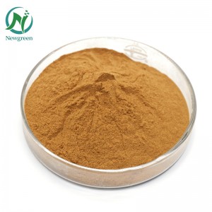 Newgreen Supply Pure Polygonum multiflorum yaiwisi ufa 99% Chinese Herb He shou wu ufa wochotsa tsitsi