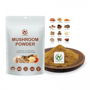 Newgreen Supply Pure Panax notoginseng powder Sanqi Raw Powder 99% Super Panax notoginseng Root powder