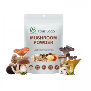 Newgreen Supply Pure Polygonum multiflorum raw powder 99% Chinese Herb He shou wu powder for hair loss