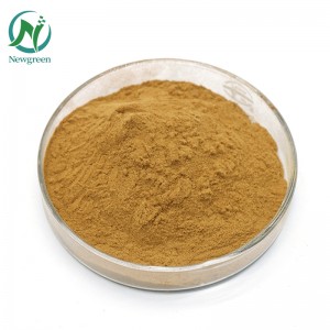 ንጹህ አንድሮግራፊስ ጥሬ ዱቄት 99% Andrographis paniculata extract powder 4:1 Andrographis paniculata root powder