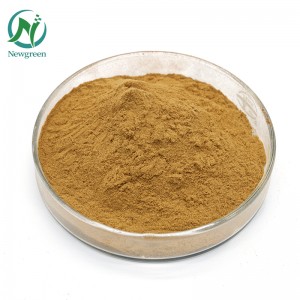 Pure Andrographis Raw Powder 99% Andrographis paniculata extract Powder 4: 1 Andrographis paniculata root powder