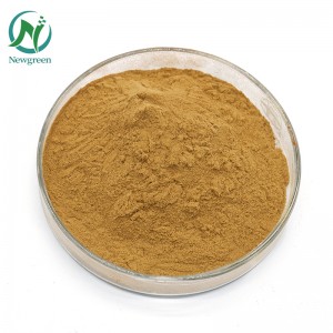 Pure Andrographis Raw Powder 99% Andrographis paniculata jade Powder 4: 1 Andrographis paniculata root lulú