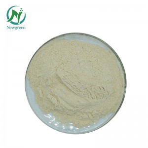 Prášek z čistého ženšenu 99% extrakt z kořene ženšenu Panax Ginseng Extrakt z korejského červeného ženšenu v prášku