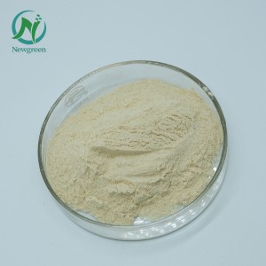 Prášek z čistého ženšenu 99% extrakt z kořene ženšenu Panax Ginseng Extrakt z korejského červeného ženšenu v prášku