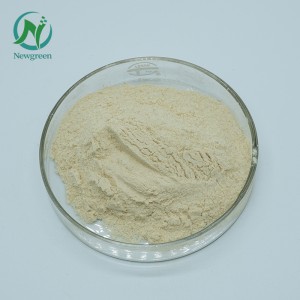 Tīrs žeņšeņa pulveris 99% Panax žeņšeņa saknes ekstrakts žeņšeņa ekstrakts Korejas sarkanais žeņšeņa pulveris
