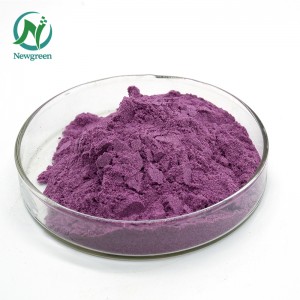 Umgangatho ophezulu we-Organic Blueberry powder 99% Newgreen Manufacturer Supply Freeze-dried Blueberry flavour powder
